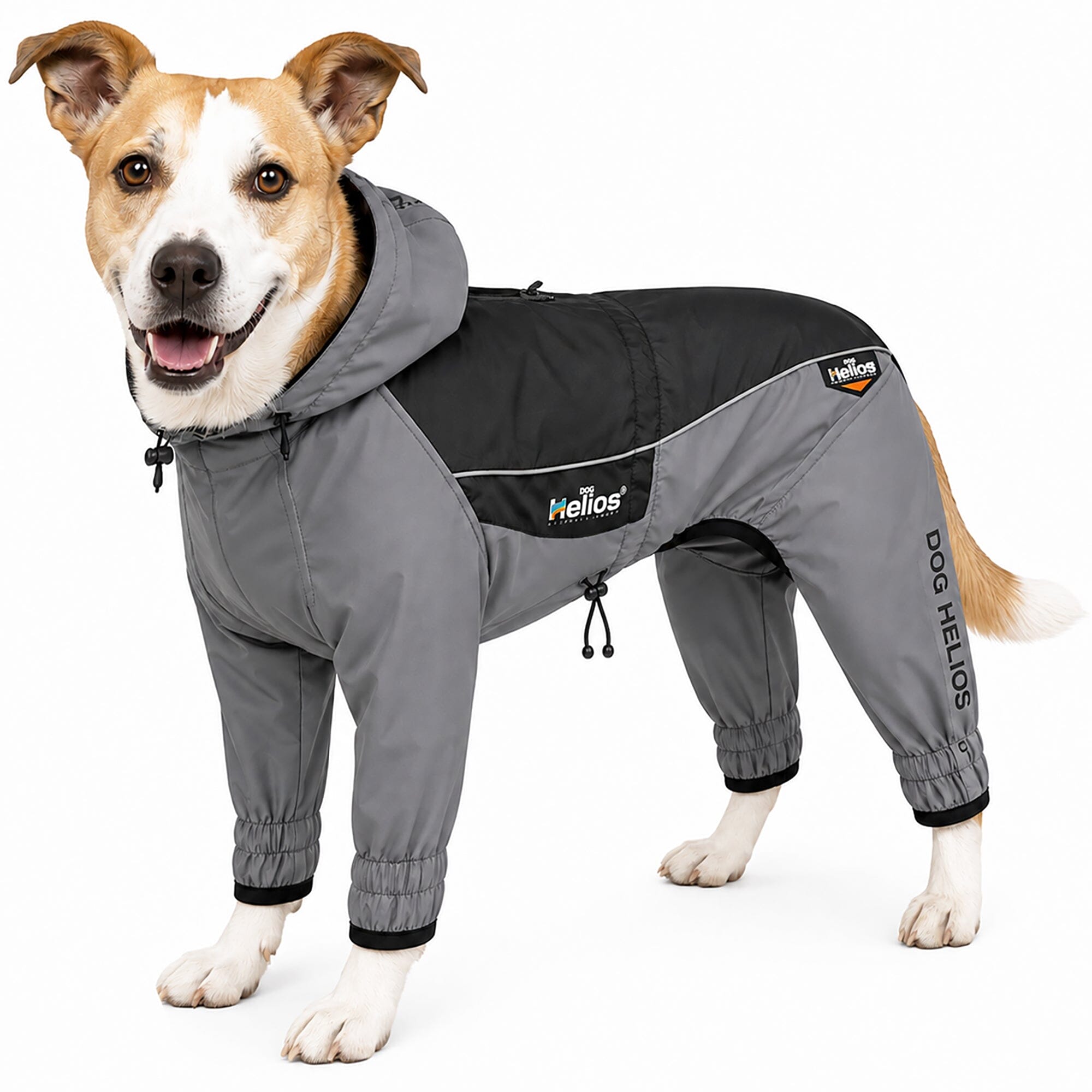 Dog Helios 'Arctic Blast' Full Bodied Winter Dog Coat w/ Blackshark Tech X-Small Black
