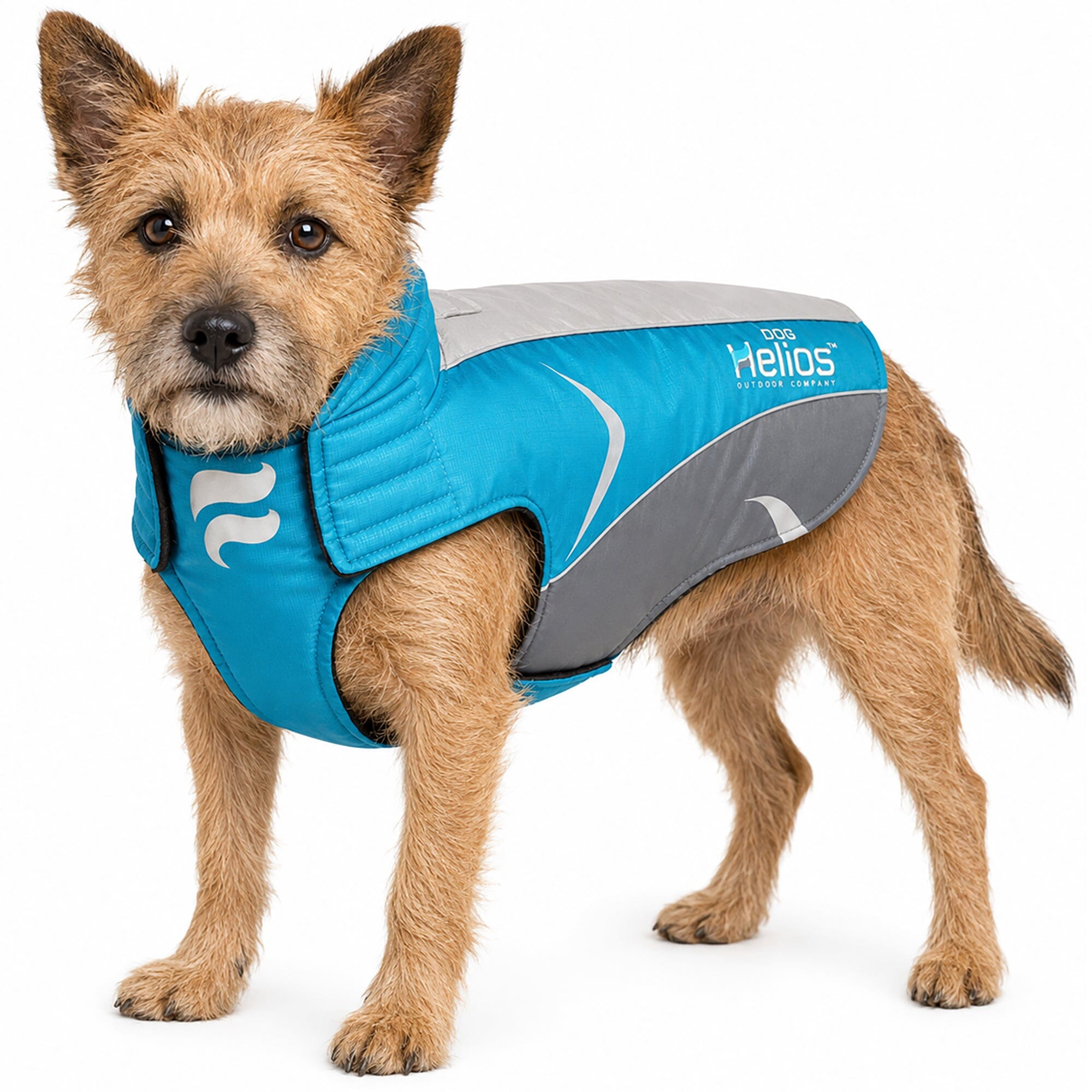 Dog Helios ® Altitude-Mountaineer Wrap-Hook-and-Loop Waterproof Dog Coat X-Small Blue, Charcoal Grey, Light Grey
