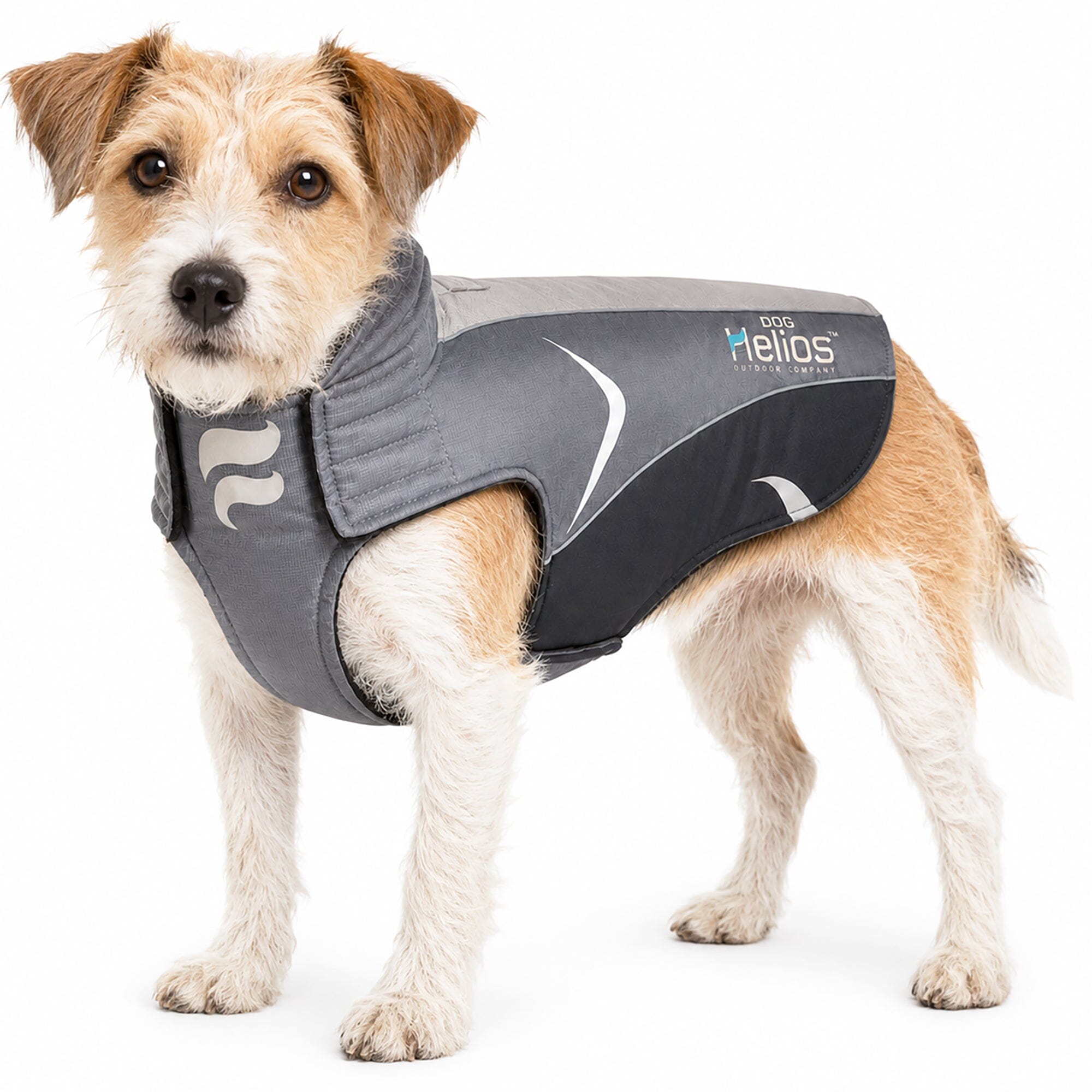 Dog Helios ® Altitude-Mountaineer Wrap-Hook-and-Loop Waterproof Dog Coat X-Small Black, Grey