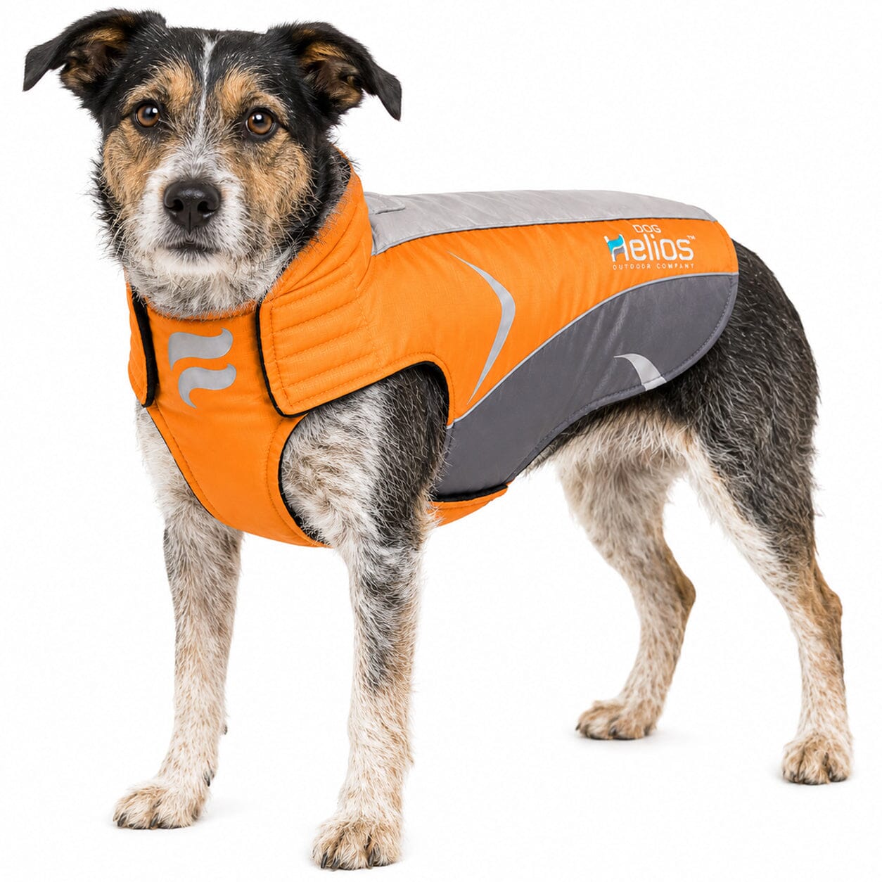 Dog Helios ® Altitude-Mountaineer Wrap-Hook-and-Loop Waterproof Dog Coat X-Small Orange, Charcoal Grey, Light Grey