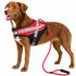 Dog Helios ® 'Bark-Mudder' 2-in-1 Reflective and Adjustable Sporty Dog Harness and Leash Small Red