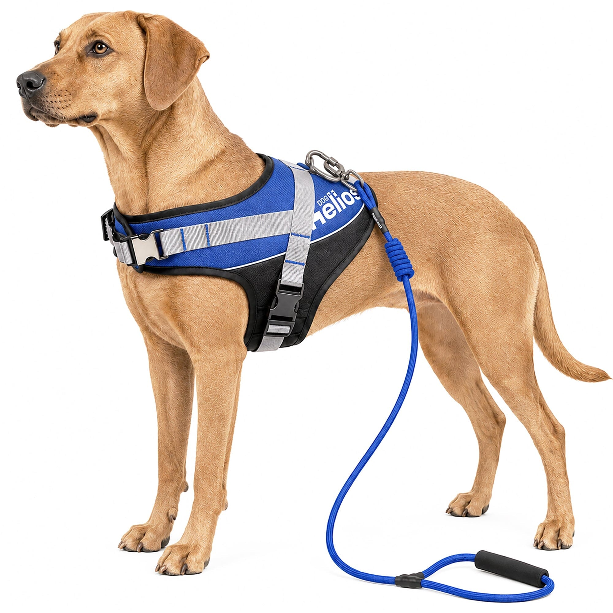 Dog Helios ® 'Bark-Mudder' 2-in-1 Reflective and Adjustable Sporty Dog Harness and Leash Small Blue