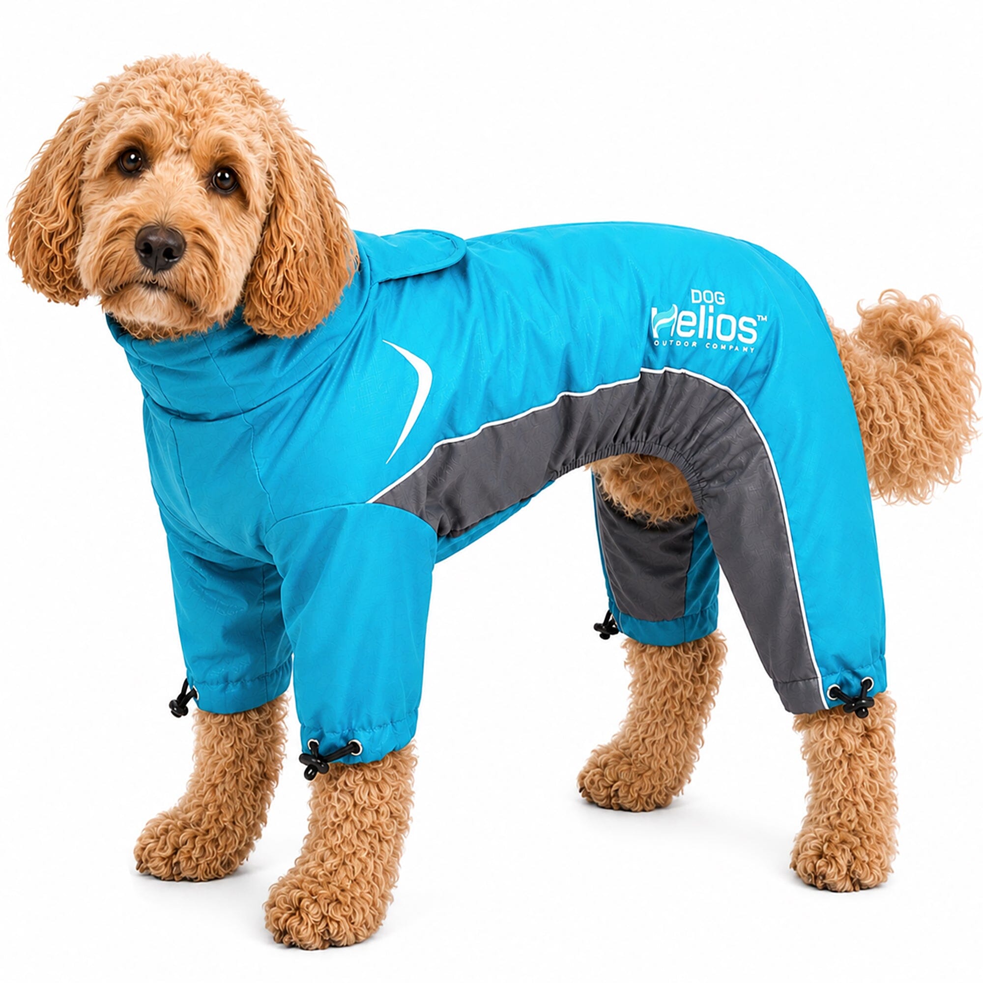 Dog Helios ® Blizzard Full-Bodied Adjustable and 3M Reflective Dog Jacket X-Small Blue