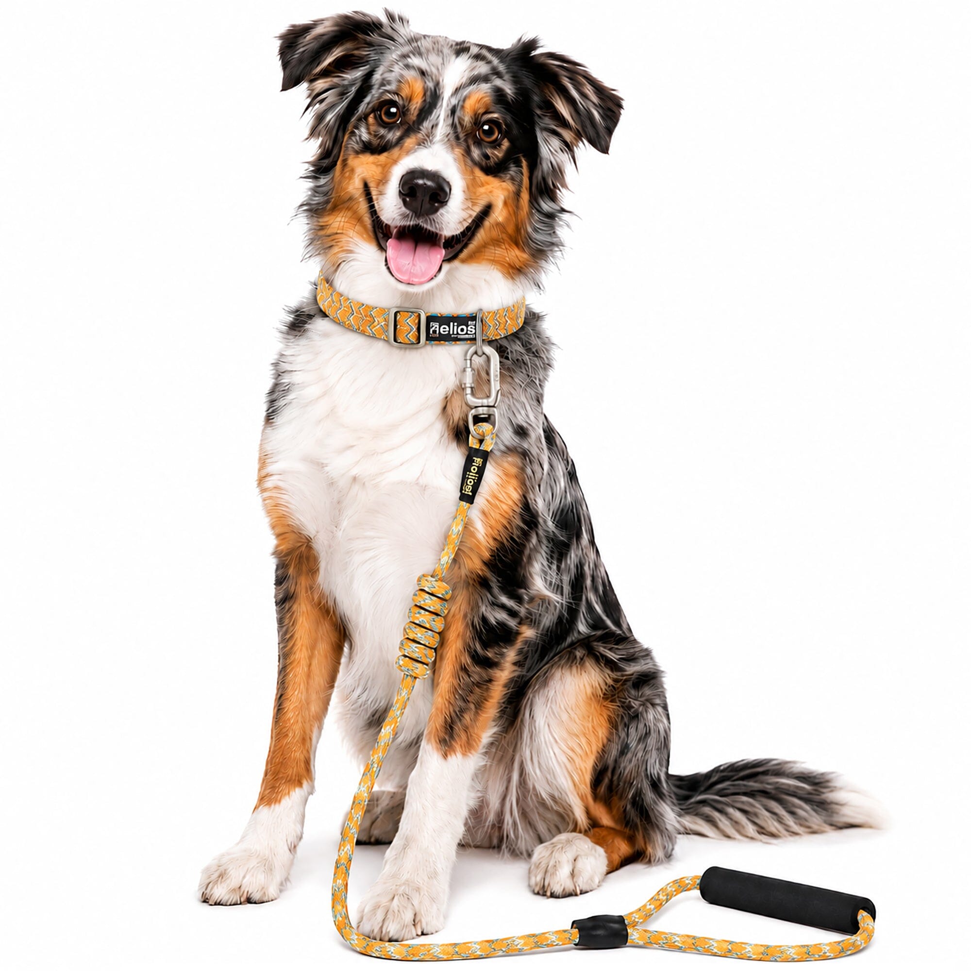 Dog Helios ® 'Dura-Tough' 2-in-1 Reflective Adjustable Fashion Dog Leash and Collar Small Orange
