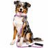 Dog Helios ® 'Dura-Tough' 2-in-1 Reflective Adjustable Fashion Dog Leash and Collar Small Pink