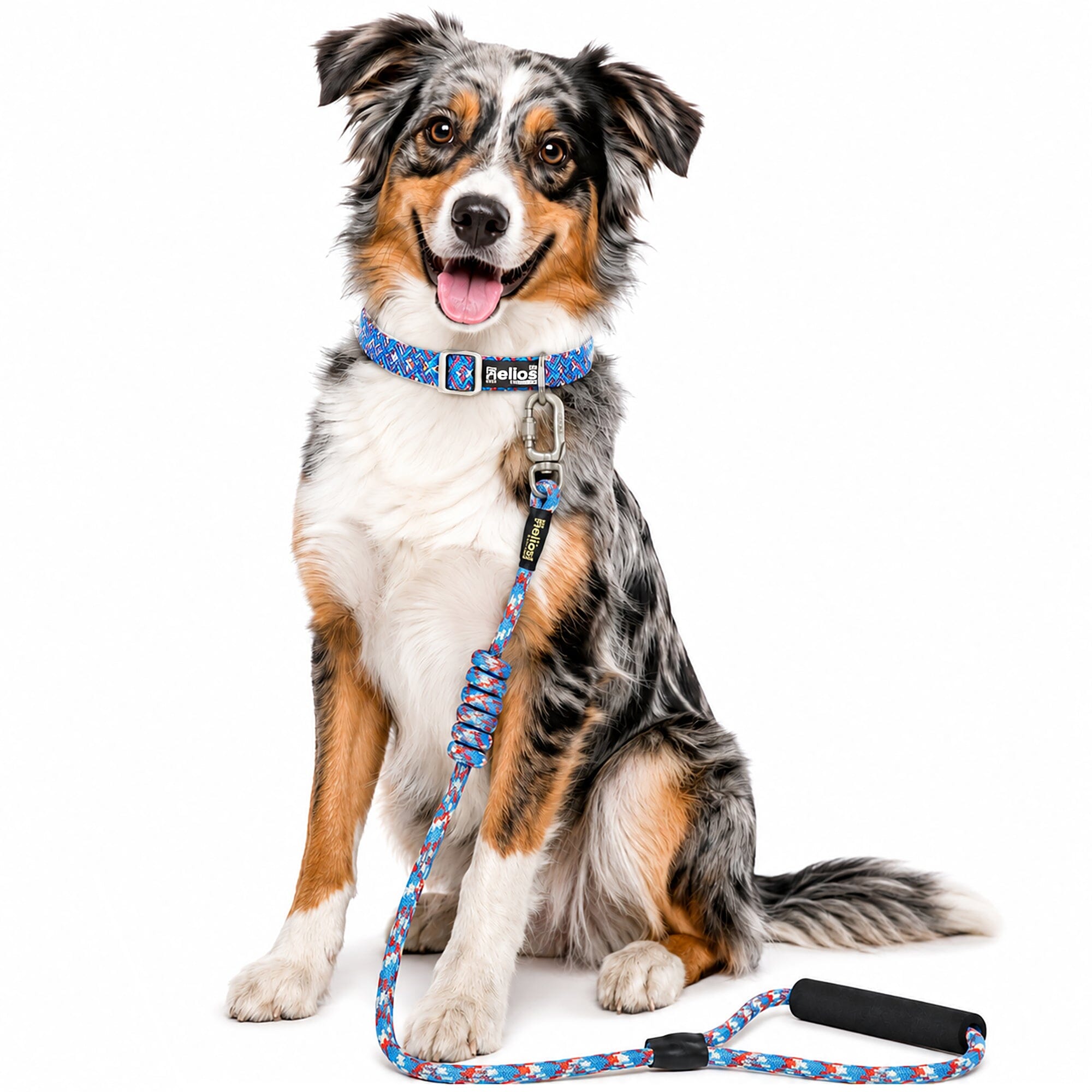 Dog Helios ® 'Dura-Tough' 2-in-1 Reflective Adjustable Fashion Dog Leash and Collar Small Blue