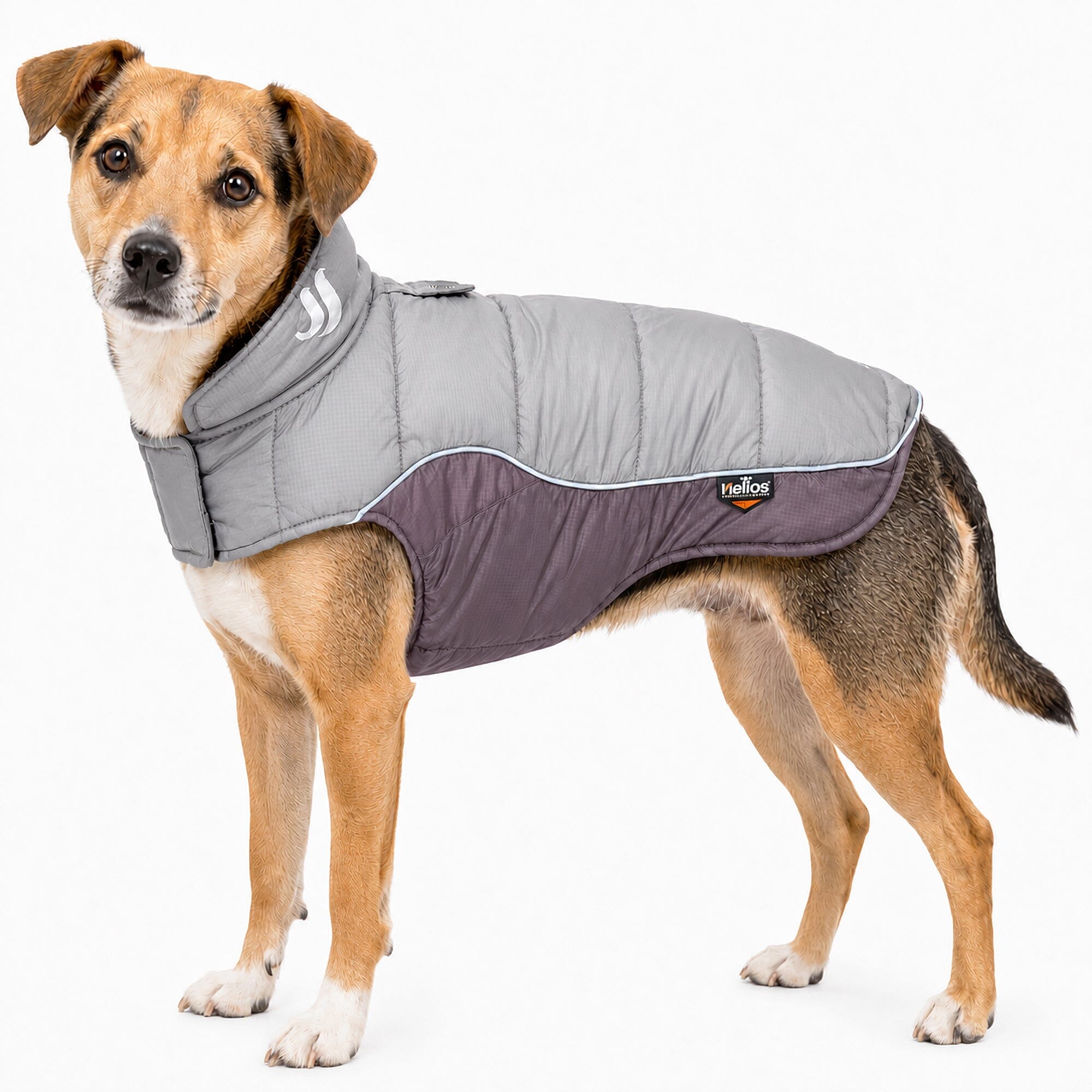 Dog Helios ® Hurricane-Waded Plush 3M Reflective Insulated Winter Dog Coat X-Small Grey