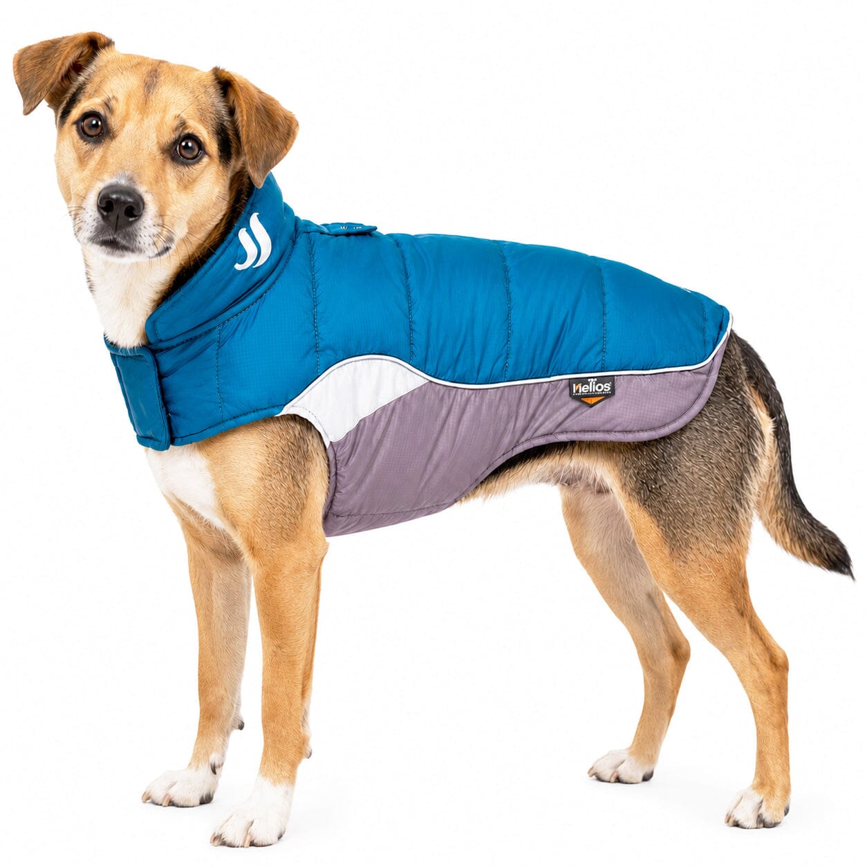 Dog Helios ® Hurricane-Waded Plush 3M Reflective Insulated Winter Dog Coat X-Small Blue Wave