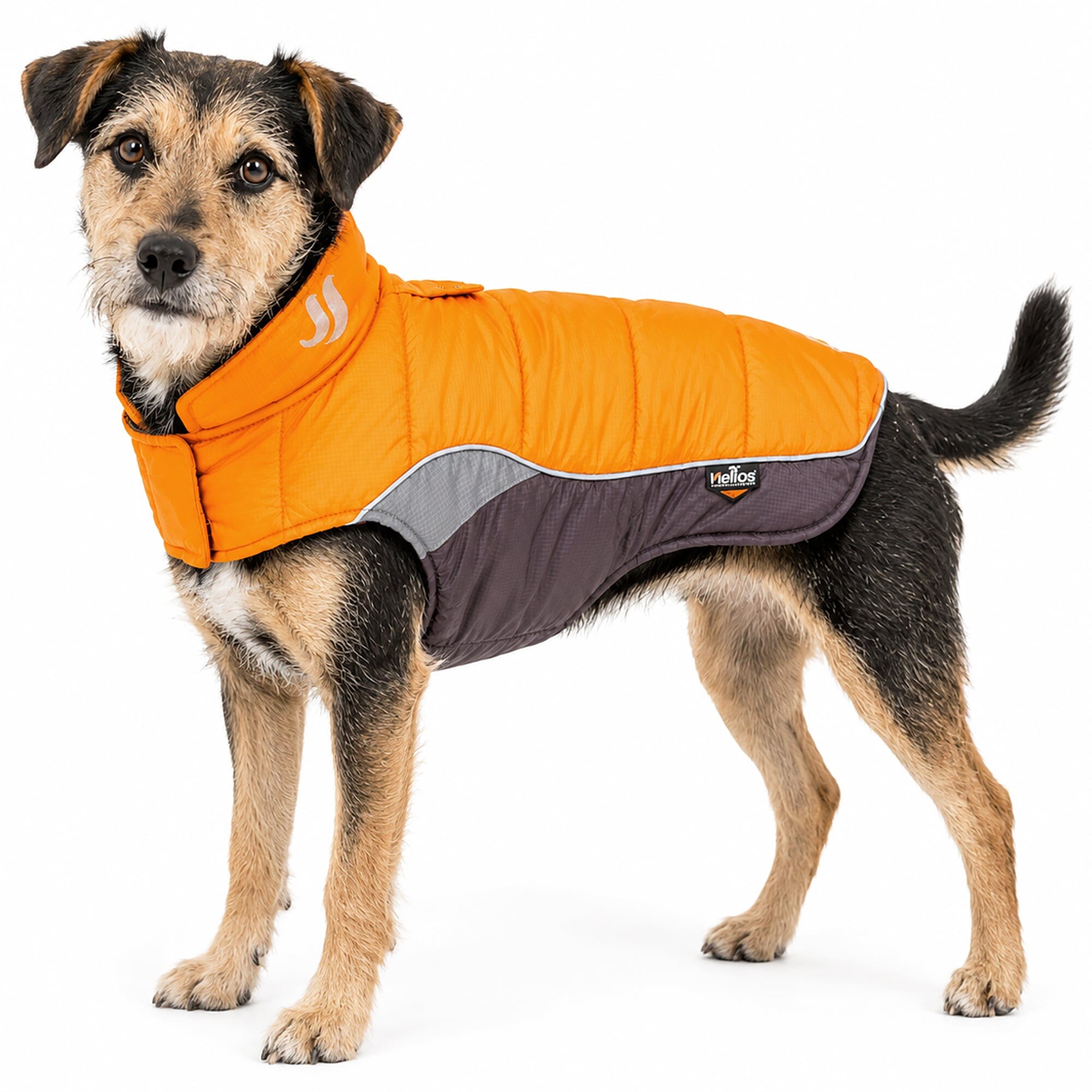 Dog Helios ® Hurricane-Waded Plush 3M Reflective Insulated Winter Dog Coat X-Small Sporty Orange