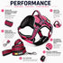 Dog Helios ® 'Journey Wander' Chest Compressive Sporty Adjustable Dog Harness and Leash