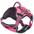Dog Helios ® 'Journey Wander' Chest Compressive Sporty Adjustable Dog Harness and Leash
