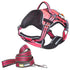 Dog Helios ® 'Journey Wander' Chest Compressive Sporty Adjustable Dog Harness and Leash Small Pink