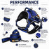 Dog Helios ® 'Journey Wander' Chest Compressive Sporty Adjustable Dog Harness and Leash
