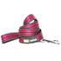 Dog Helios ® 'Journey Wander' Chest Compressive Sporty Adjustable Dog Harness and Leash