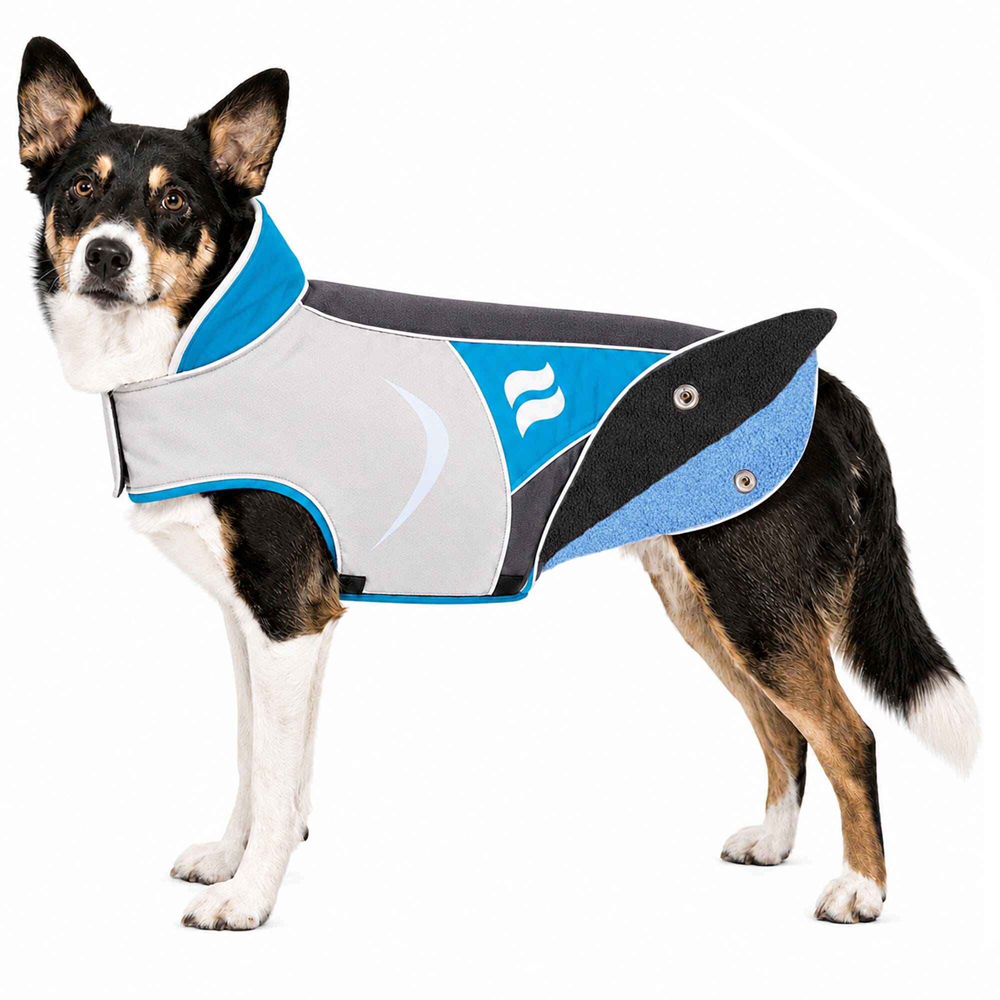 Dog Helios ® Lotus-Rusher 2-in-1 Dual-Removable Layered Performance Dog Jacket X-Small Blue, Charcoal Grey, White