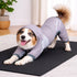 Dog Helios ® 'Namastail' Lightweight 4-Way-Stretch Yoga Performance Dog Tracksuit Hoodie