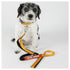 Dog Helios ® 'Neo-Indestructible' 2-in-1 Accordion Dog Collar and Leash