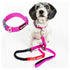 Dog Helios ® 'Neo-Indestructible' 2-in-1 Accordion Dog Collar and Leash
