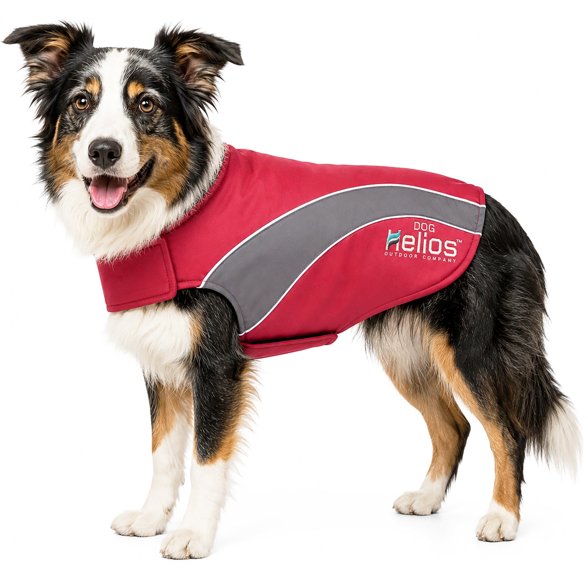 Dog Helios ® Octane Reflective Soft-Shell Neoprene Performance Dog Coat X-Small Red, Grey