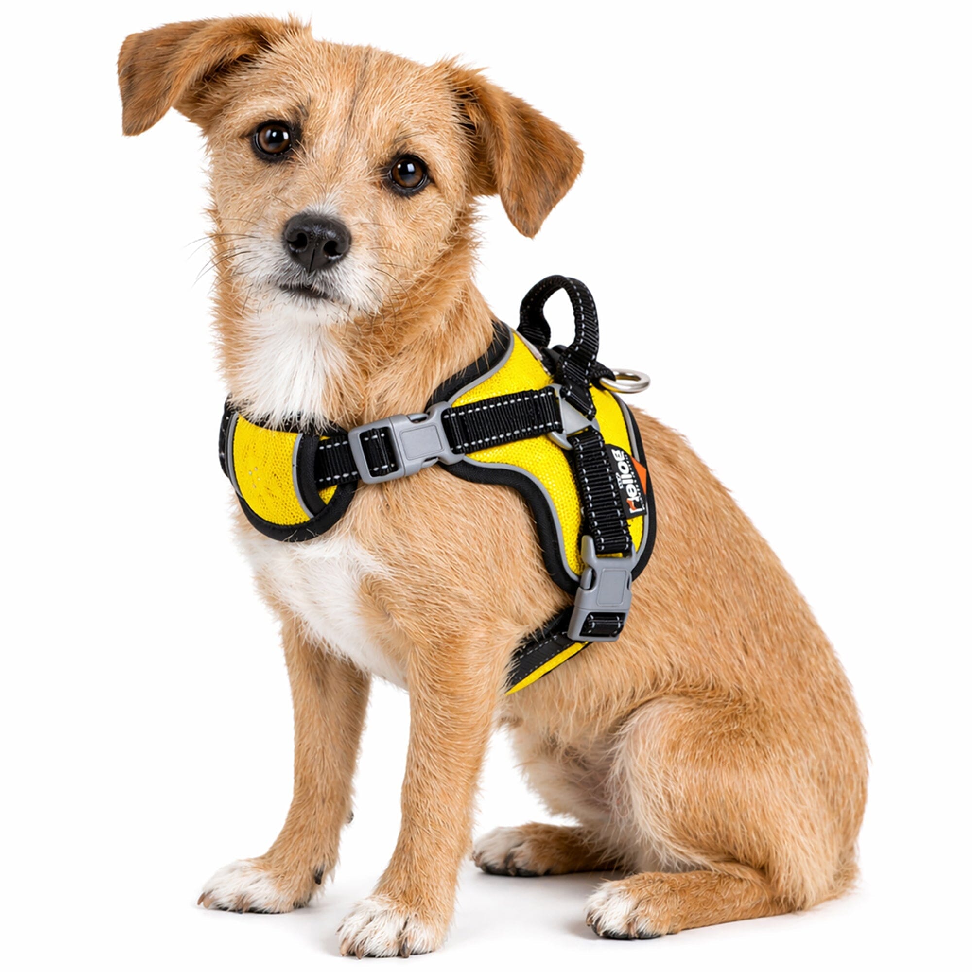 Dog Helios ® 'Scorpion' Sporty High-Performance Free-Range Dog Harness Yellow Small