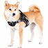 Dog Helios ® 'Scorpion' Sporty High-Performance Free-Range Dog Harness