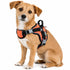 Dog Helios ® 'Scorpion' Sporty High-Performance Free-Range Dog Harness Orange Small