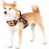 Dog Helios ® 'Scorpion' Sporty High-Performance Free-Range Dog Harness