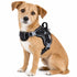 Dog Helios ® 'Scorpion' Sporty High-Performance Free-Range Dog Harness Black Small