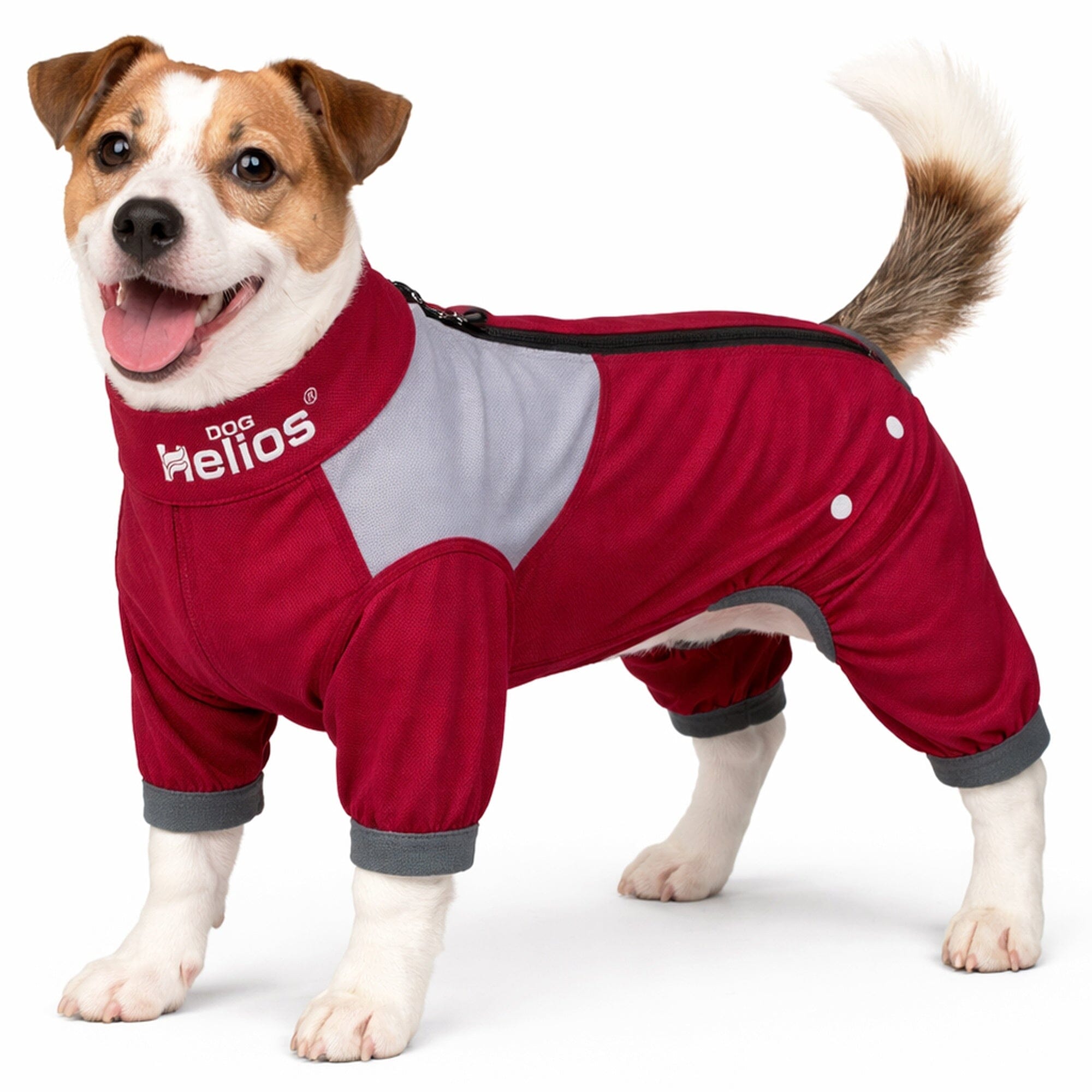 Dog Helios ® 'Tail Runner' Lightweight 4-Way-Stretch Breathable Yoga Dog Tracksuit X-Small Red And Grey