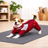 Dog Helios ® 'Tail Runner' Lightweight 4-Way-Stretch Breathable Yoga Dog Tracksuit