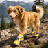 Dog Helios 'Traverse' Premium Grip High-Ankle Outdoor Dog Boots - Set Of 4