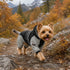 Dog Helios 'Vortex' Full Bodied Waterproof Windbreaker Dog Jacket