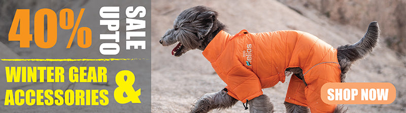 shop dog coats and jackets