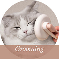 Shop dog and cat grooming tools