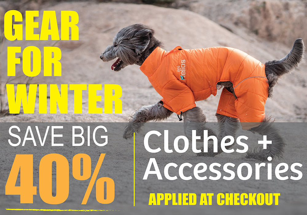 winter dog coats and jackets