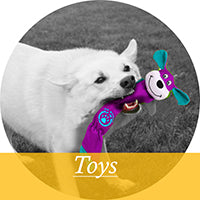 shop toys for dogs