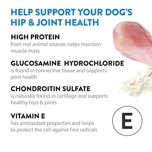 Dogswell Grain-Free Hip and Joint Chicken Soft and Chewy Dog Treats - 14 Oz