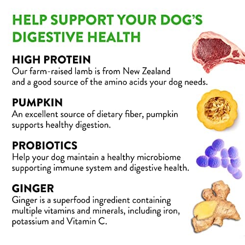 Dogswell Gut Health Lamb Mini Functional Jerky Dog Treats - 4 Oz