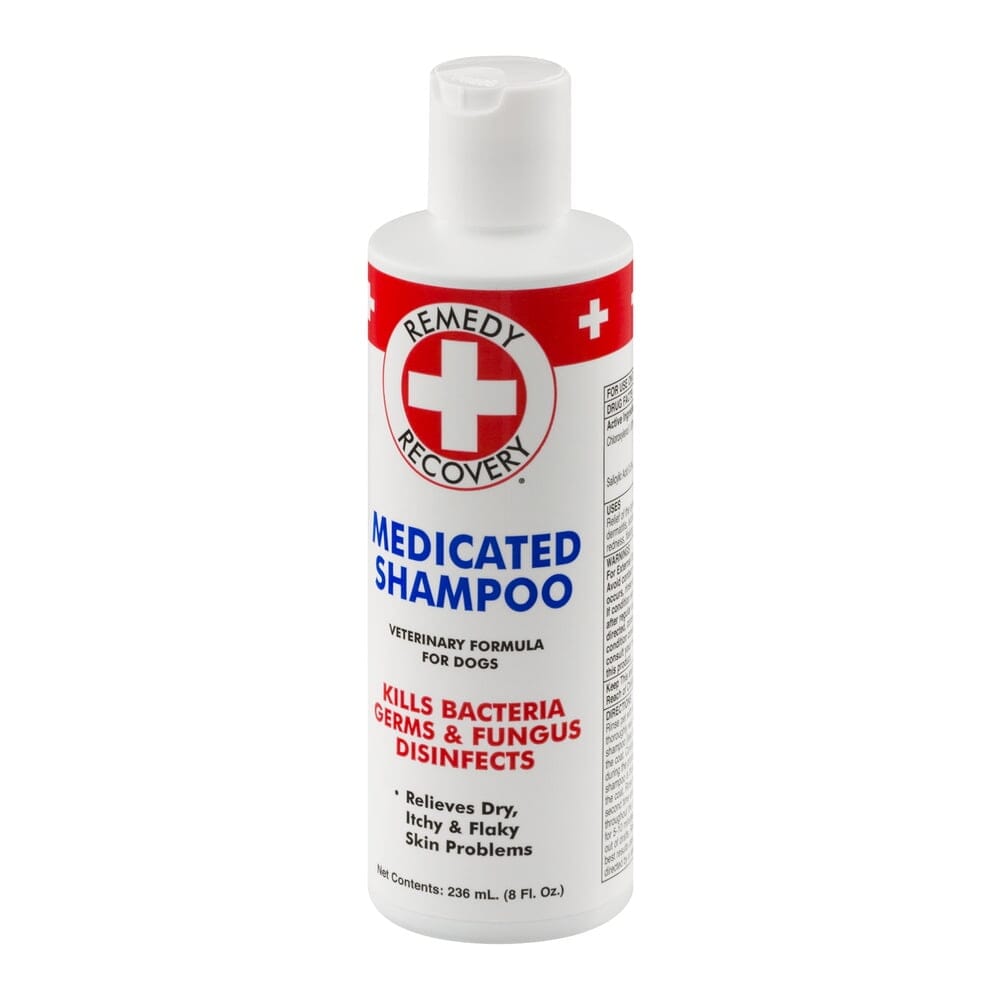 Dogswell Remedy and Recovery First-Aid Medicated Anti-Bacterial Shampoo for Dogs and Cats - 8 Oz