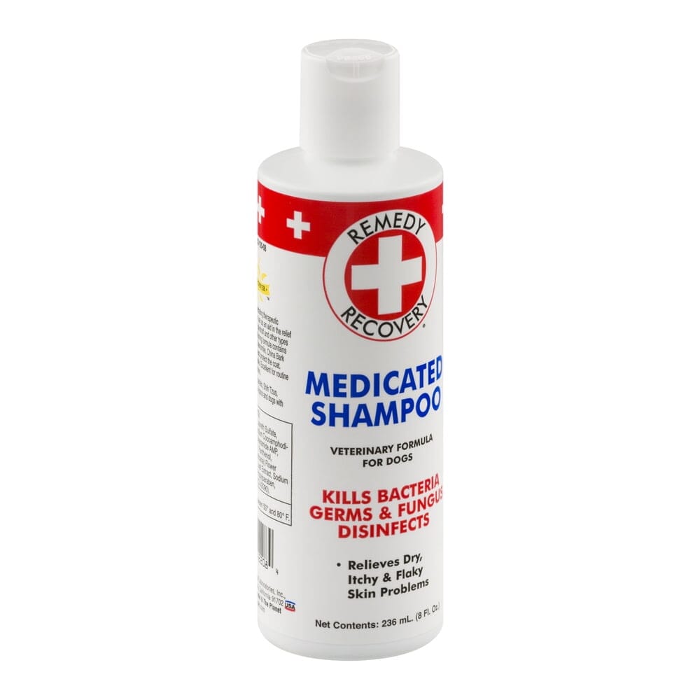 Dogswell Remedy and Recovery First-Aid Medicated Anti-Bacterial Shampoo for Dogs and Cats - 8 Oz