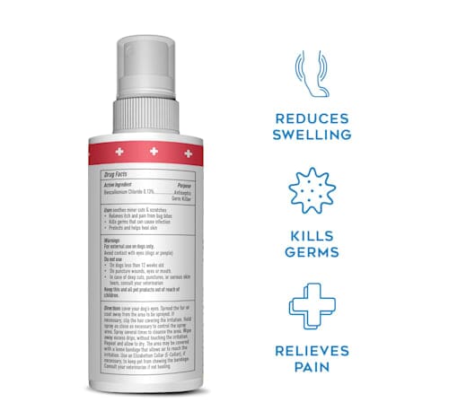 Dogswell Remedy and Recovery First-Aid Medicated Antiseptic Spray for Dogs and Cats - 4 Oz