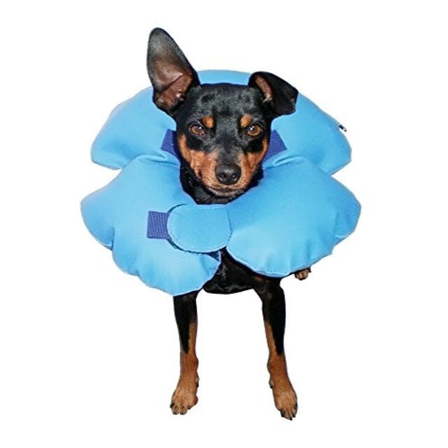 Dogswell Remedy and Recovery Stay-Rite First-Aid Inflatable Recovery Dog Collar Extra Small