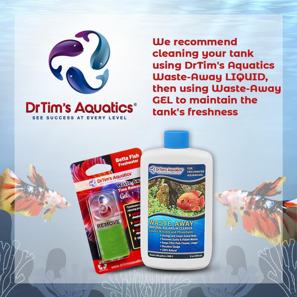 Dr Tim's Aquatics Waste-Away Time Release Gel for Freshwater Betta - (10GAL) - Small  