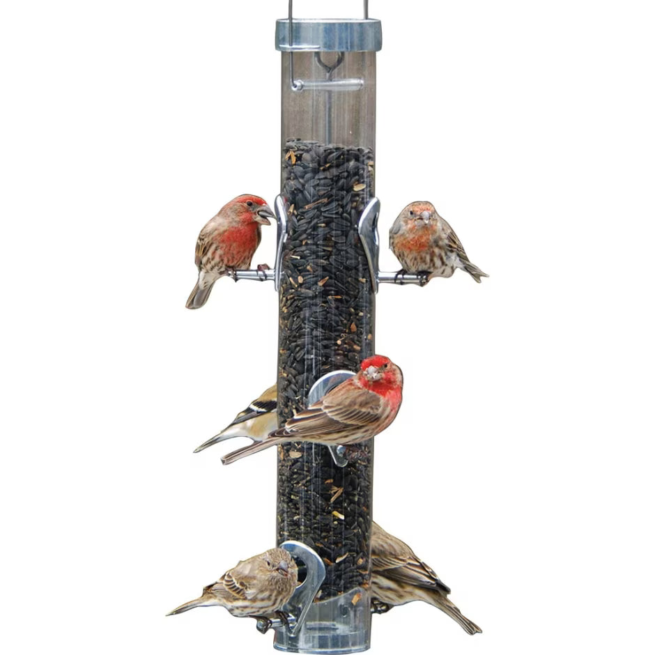 Droll Yankees Classic Sunflower Tube Type Wild Bird Feeder with Ring Pull - Silver - 1 Lb Cap