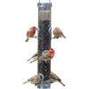 Droll Yankees Classic Sunflower Tube Type Wild Bird Feeder with Ring Pull - Silver - 1 Lb Cap