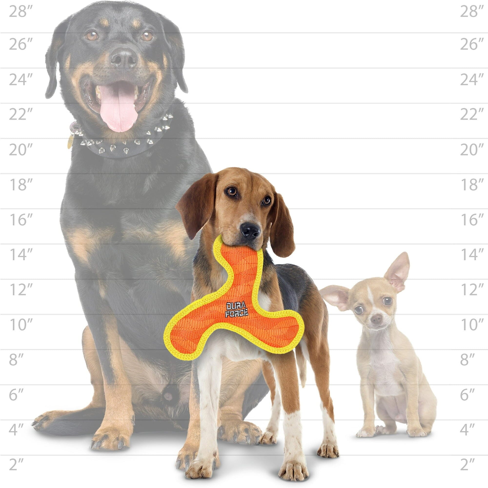 DuraForce Boomerang Tiger Woven Floating and Squeaking Fetch Dog Toy