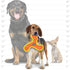 DuraForce Boomerang Tiger Woven Floating and Squeaking Fetch Dog Toy