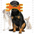 DuraForce Lizard Tiger Woven Floating and Squeaking Dog Toy - Orange/Yellow