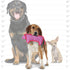 DuraForce Pig Tiger Woven Floating and Squeaking Dog Toy - Pink