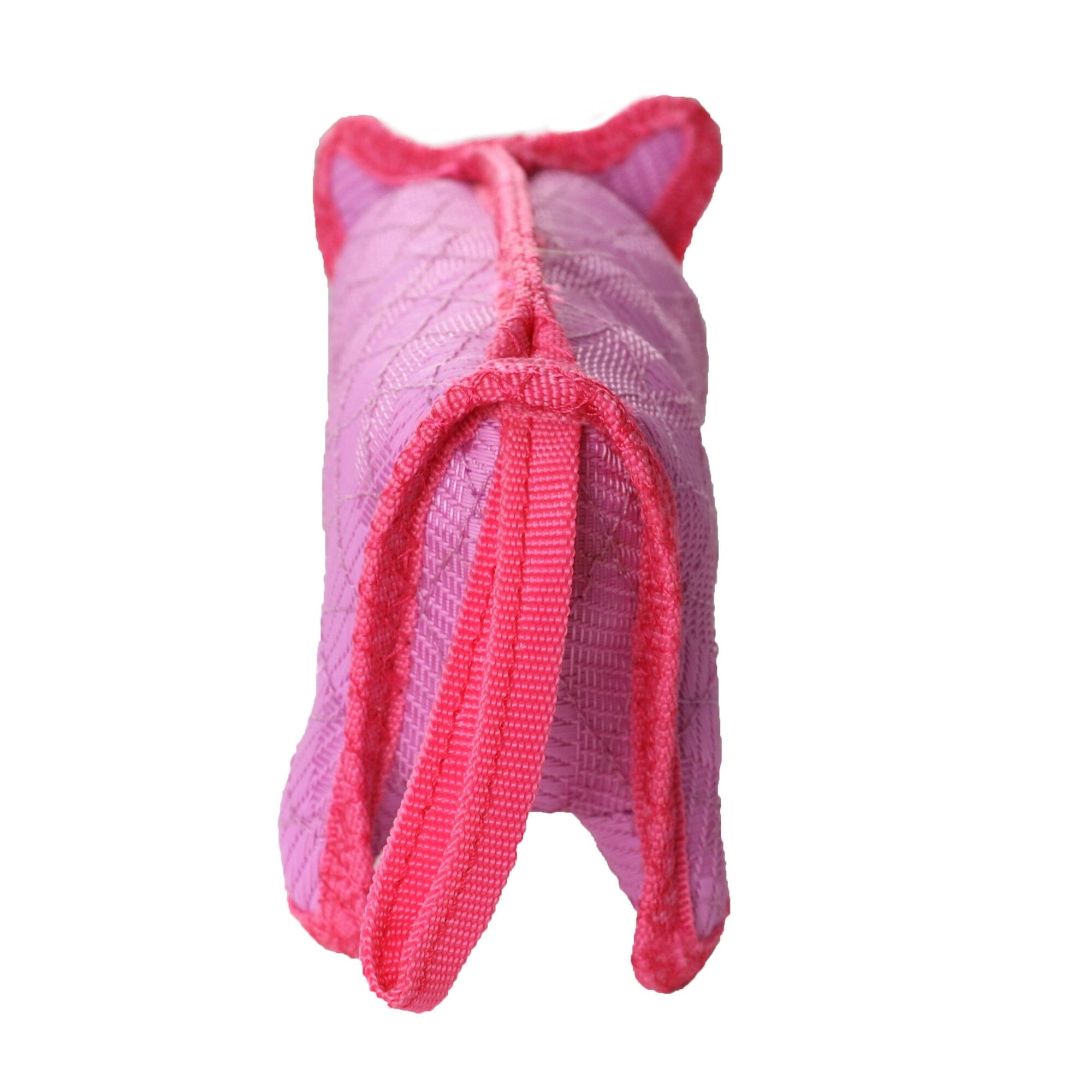 DuraForce Pig Tiger Woven Floating and Squeaking Dog Toy - Pink